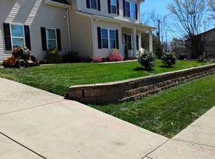 Mollie P.'s Lawn Mowing Service service result