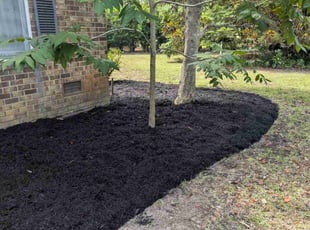 Landscaping by Jacob Wilson for Leo S. in Mount Pleasant, SC