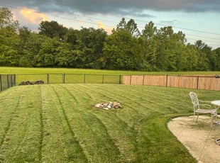 Robin C.'s Grass Cutting service result