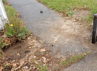 Cleanups by Jessica Pruitt for Terrence J. in Memphis, TN