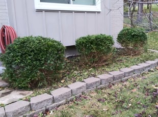 Bush Trimming by Joshua Fast for Marilyn B. in Kansas City, MO