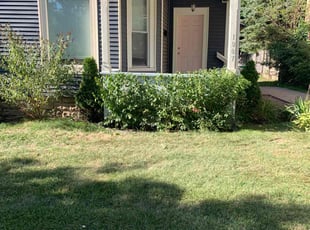 Bush Trimming by Ryan Cooper for Cameron K. in Grand Rapids, MI