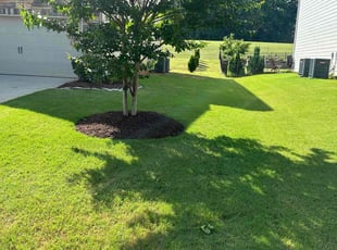 Randy W.'s Lawn Maintenance service result