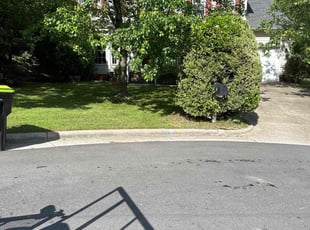 Maria A.'s Lawn Service service result