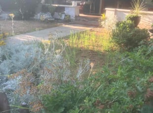 Weeding by Alexander Stevenson for Sandra B. in Los Angeles, CA