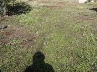 Cleanups by Flavio Mondragon for Josiah M. in Rowland Heights, CA