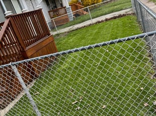 Celise B.'s Lawn Care service result