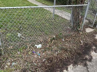 Cleanups by Samuel Jordon for Jennifer B. in Baltimore, MD