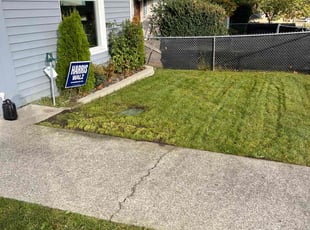 Vincent O.'s Lawn Service service result