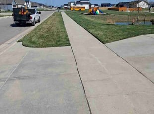 Patricia F.'s Yard Cutting service result