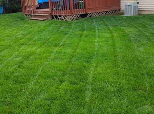 Laura C.'s Lawn Maintenance service result