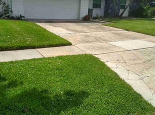 Pedro V.'s Lawn Service service result