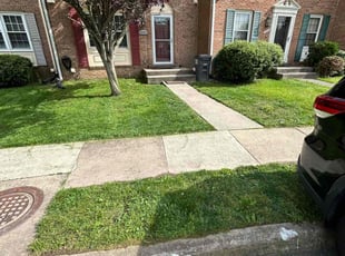Nate P.'s Lawn Mowing service result