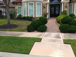 Erik S.'s Lawn Service service result
