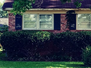 Bush Trimming by Brandon Sanders for Lawrence G. in North Charleston, SC