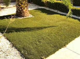 Shawnette I.'s Lawn Service service result