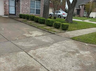 Bush Trimming by Victor Ramirez for Geoffrey H. in Arlington, TX