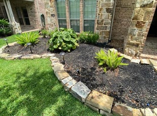Weeding by Ramon Avalos for Chris G. in Rosharon, TX