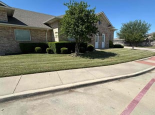 Mimi R.'s Yard Cutting service result