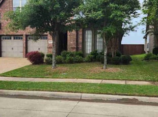 Bush Trimming by Macey Wheeler for James A. in Forney, TX
