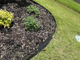 Weeding by Patrick Stewart for Luli O. in Prosper, TX