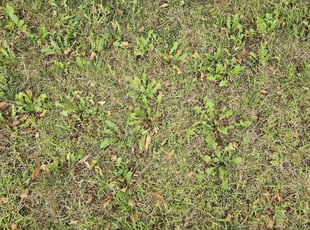 Cleanups by Thad Anderson for Jordan P. in Bennington, NE