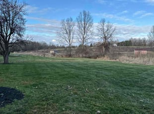 Patricia B.'s Lawn Mowing service result