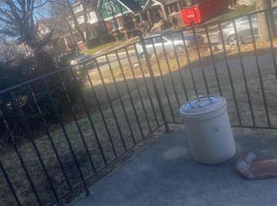 Leaf Removal by Jerman Fairley for Christina V. in Eastpointe, MI