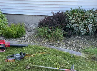 Weeding by Deshawn Chester for Lauren K. in Rochester, NY