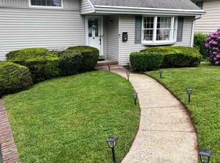 Dorothy R.'s Lawn Care service result