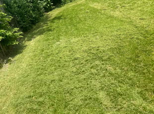 Julie M.'s Lawn Care service result