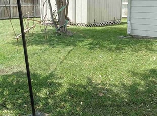 Ray R.'s Grass Cutting service result