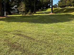 Claudette C.'s Yard Cutting service result