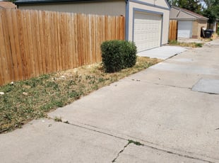 Bush Trimming by Josh Brown for Aaron G. in Denver, CO
