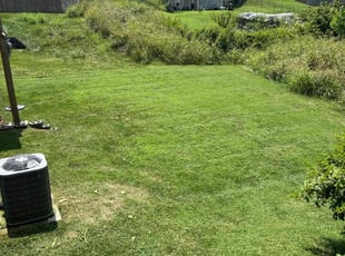 Elizabeth E.'s Yard Cutting service result