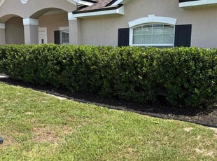 Bush Trimming by Justin Myers for Kambra B. in Deltona, FL