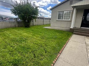 Peter A.'s Lawn Mowing service result