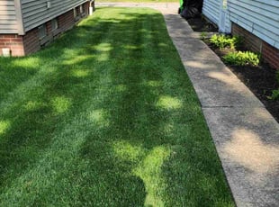 Amber T.'s Lawn Care service result