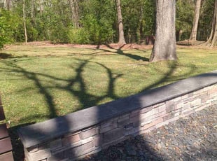 Leaf Removal by Chuck Vogt for Mike M. in Atlanta, GA