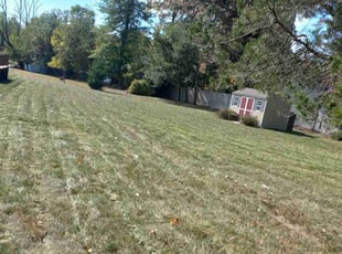 Wendell N.'s Yard Cutting service result