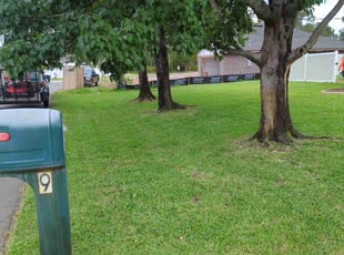 Will N.'s Yard Cutting service result