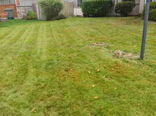 Samantha J.'s Lawn Care service result