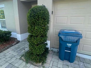 Bush Trimming by Jeff Osbeck for Luis G. in Davenport, FL
