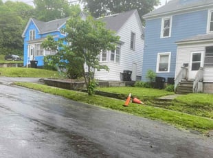 Risa E.'s Lawn Care service result