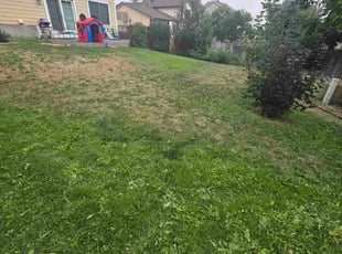Weeding by Alexander felipe Viloria rodriguez for Daniel S. in Parker, CO