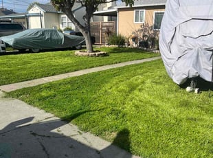 Brian B.'s Grass Cutting service result