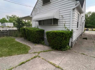 Bush Trimming by Demetrius Bennett Jr for Bruce S. in Cleveland, OH