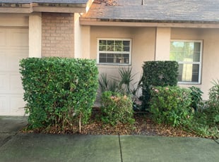 Bush Trimming by Hector Mieles for kristalyn s. in Orlando, FL