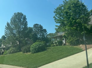 Bush Trimming by Chance Rosenberger for Chandra H. in Indian Trail, NC