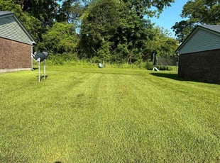 Roman S.'s Lawn Care service result
